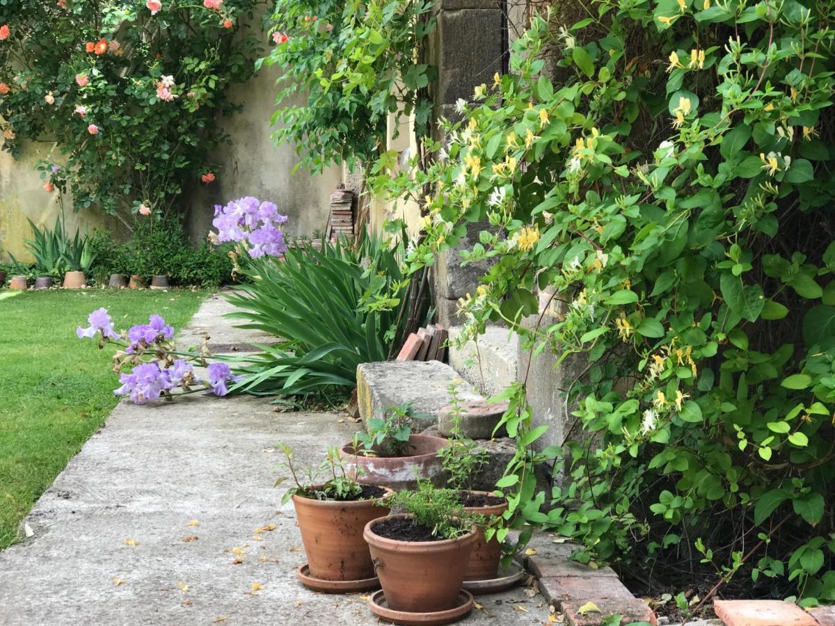 La Maison Jeanne D'Arc Saint-Fargeau  Luaran gambar